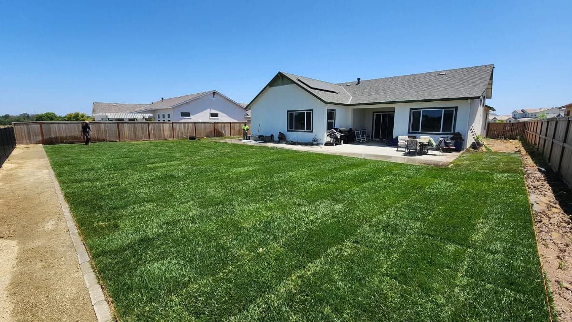 Backyard after new sod lawn installation with lush green grass in Sacramento CA