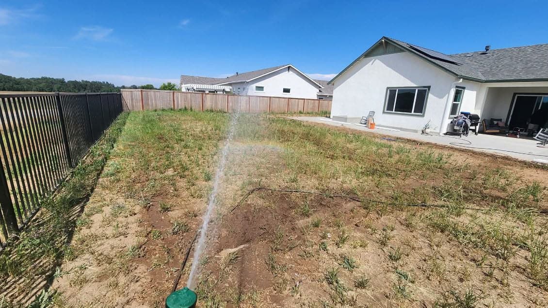 Backyard before new sod lawn installation with patchy dirt and sprinkler in Sacramento CA