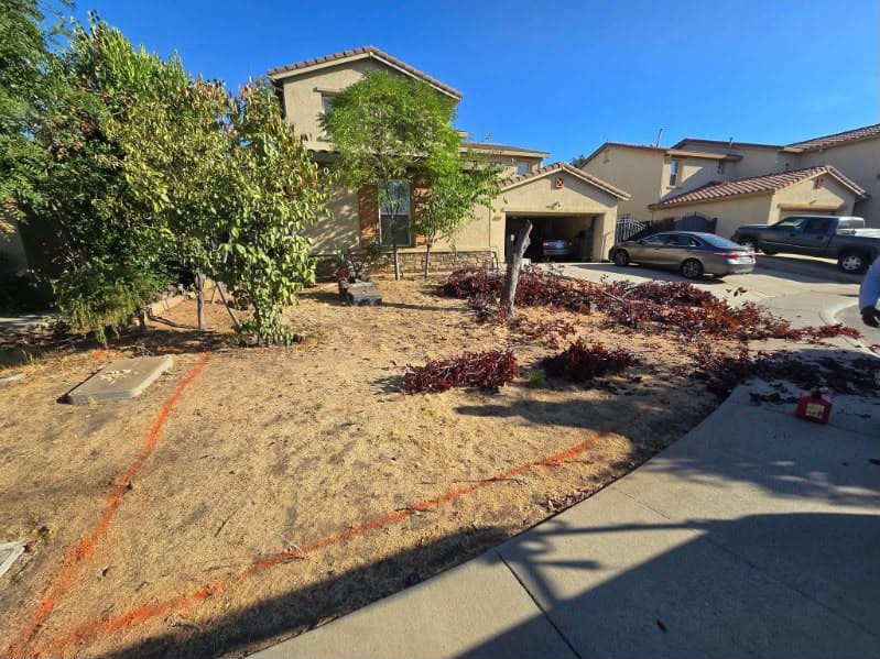 Front yard before landscaping with dead lawn and no irrigation in Sacramento CA