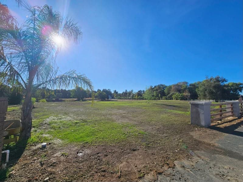 Large lawn area after sod installation with full grown green grass in Sacramento CA